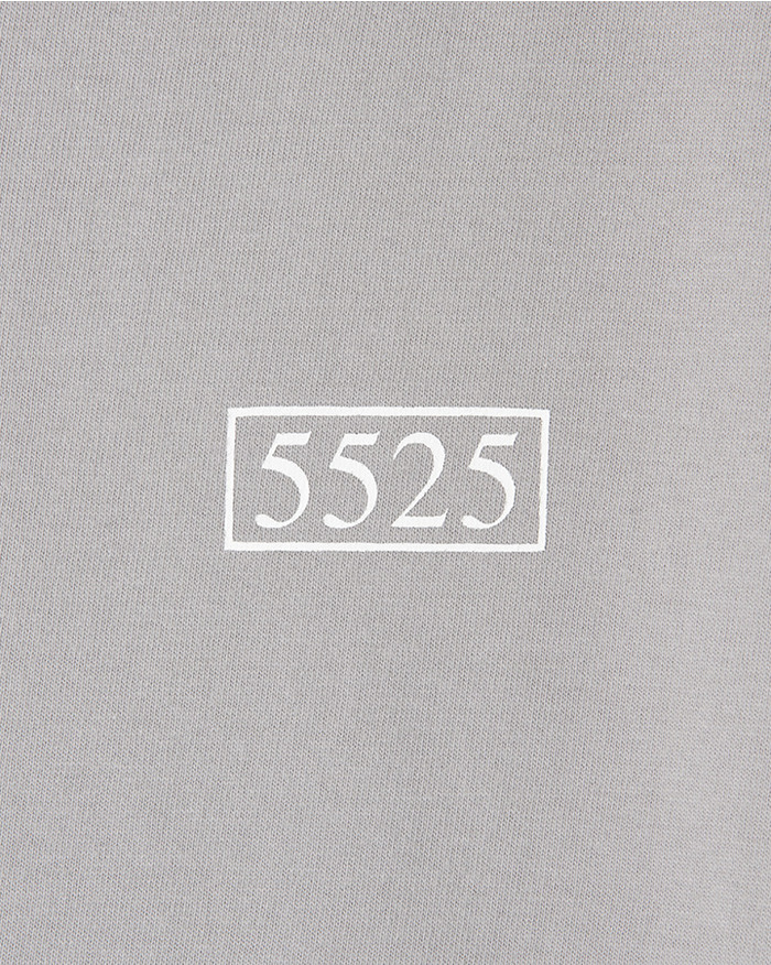 5525 BOX LOGO TEE 詳細画像 LT.GRAY 3