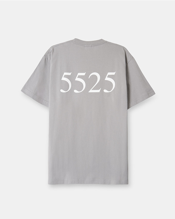 5525 BOX LOGO TEE 詳細画像 LT.GRAY 6