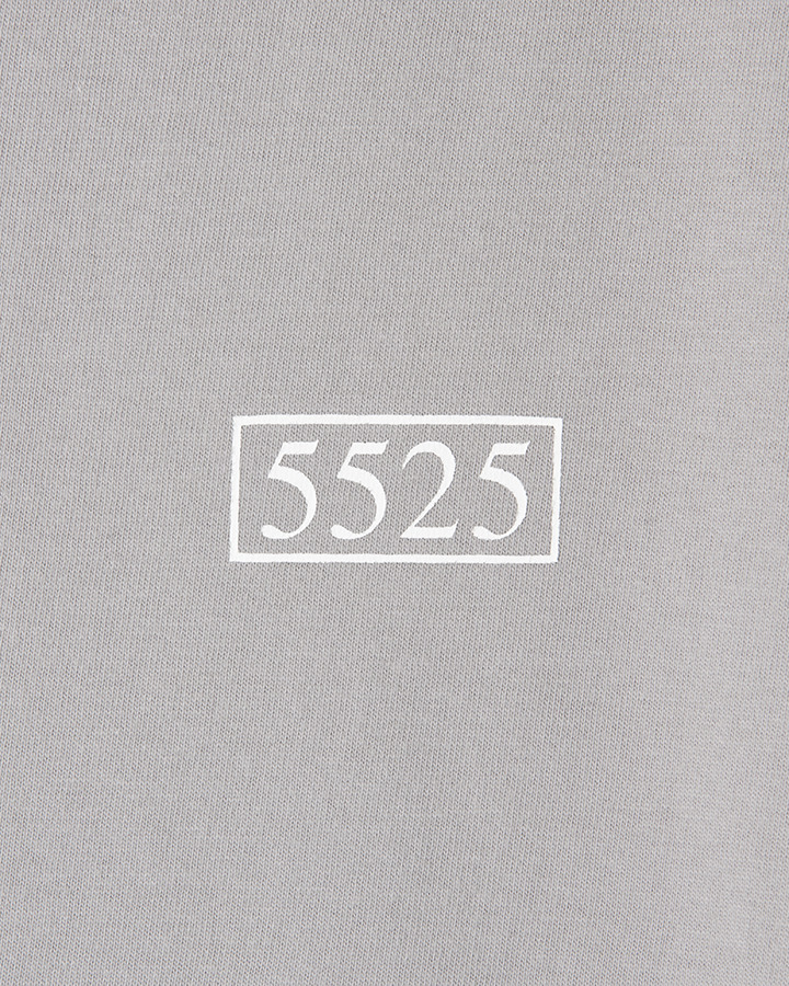 5525 BOX LOGO TEE 詳細画像 LT.GRAY 3