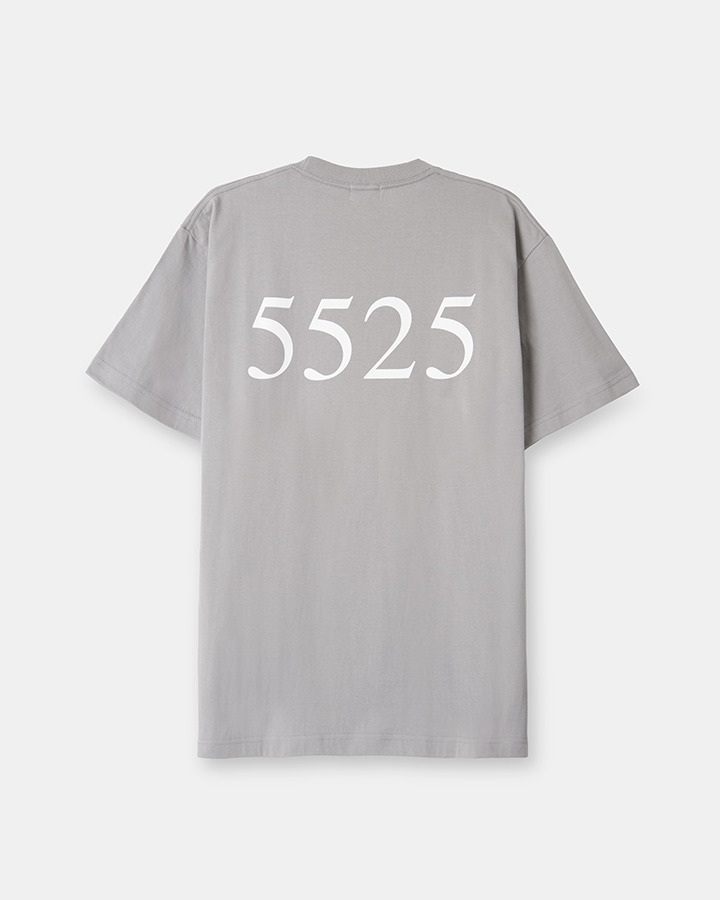 5525 BOX LOGO TEE 詳細画像 LT.GRAY 6