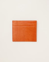 LIZARD CARD CASE 詳細画像