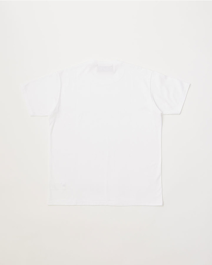 5525 SOLID TEE 詳細画像 WHITE 2